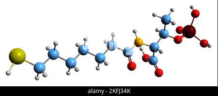 3D image de la formule squelettique de la coenzyme B - structure chimique moléculaire du 7-mercaptoheptanoylthréoninephosphate isolé sur fond blanc Banque D'Images