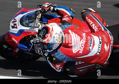 PHILLIP ISLAND, AUSTRALIE - NOVEMBRE 18 : Tetsuta NAGASHIMA du Japon sur l'écurie Honda HRC lors du Championnat du monde de Superbike FIM 2022 à l'usine Phil Banque D'Images