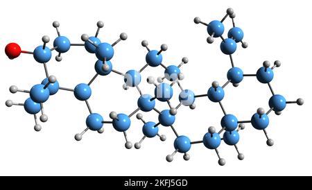 3D image de la formule squelettique de Lupeol - structure chimique moléculaire du triterpénoïde pentacyclique Clerodol isolé sur fond blanc Banque D'Images