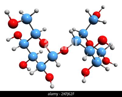 3D image de la formule squelettique du maltose - structure chimique moléculaire du disaccharide maltobiose isolé sur fond blanc Banque D'Images