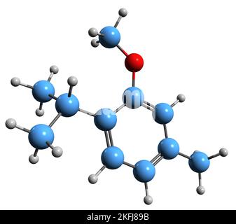 3D image de la formule squelettique de l'éther méthylique de Thymol - structure chimique moléculaire de l'isopropyl-2 5 méthylanisole sur fond blanc Banque D'Images