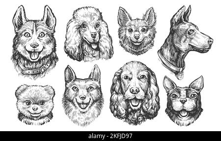 Ensemble de croquis de races de chiens. Têtes de collection ou portraits de personnages de chien ou de chiot. Illustration des animaux domestiques Banque D'Images