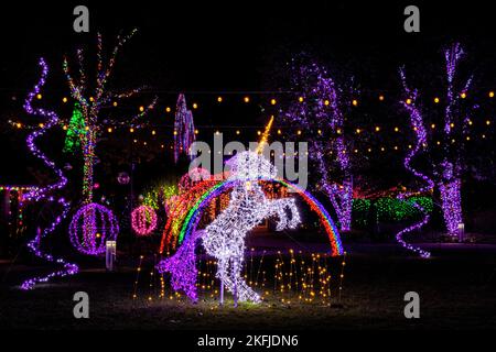 licorne illuminée dans Rainbow Land - événement des lumières d'hiver à l'arboretum de Caroline du Nord - Asheville, Caroline du Nord, États-Unis Banque D'Images