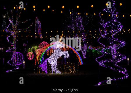 licorne illuminée dans Rainbow Land - événement des lumières d'hiver à l'arboretum de Caroline du Nord - Asheville, Caroline du Nord, États-Unis Banque D'Images