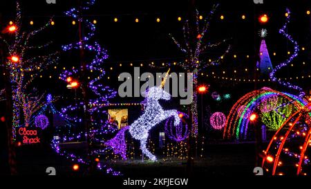 licorne illuminée dans Rainbow Land - événement des lumières d'hiver à l'arboretum de Caroline du Nord - Asheville, Caroline du Nord, États-Unis Banque D'Images