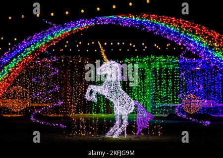 licorne illuminée dans Rainbow Land - événement des lumières d'hiver à l'arboretum de Caroline du Nord - Asheville, Caroline du Nord, États-Unis Banque D'Images