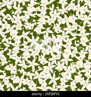 Motif fleurs de jasmin sans coutures. Fleurs et feuilles blanches sauvages se chevauchant. Illustration botanique moderne texturée. Banque D'Images