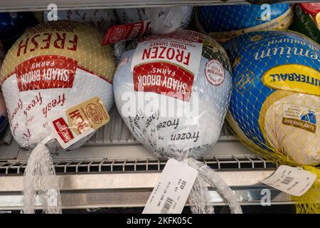 Dindes de Thanksgiving en vente dans une épicerie d'Agostinos à New York, USA 2022 Banque D'Images