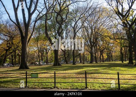 Appelez la zone du centre commercial à Central Park offre un chemin paisible sur un après-midi d'automne, 2022, NYC, États-Unis Banque D'Images