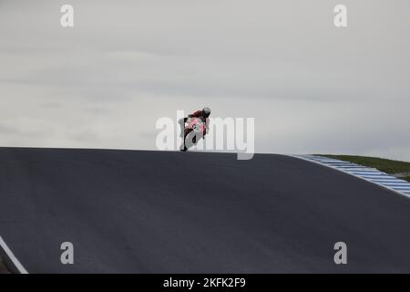 Victoria, Australie. 19th novembre 2022. Alvaro Bautista (ESP) course pour Aruba.it course-Riding le Ducati Panigale V4R pendant la troisième pratique pendant la ronde de Grand Ridge australienne 2022 du Championnat du monde de Superbike MOTUL 2022 à Phillip Island, Australie sur 19 novembre 2022 - image Credit: brett keating/Alay Live News Banque D'Images