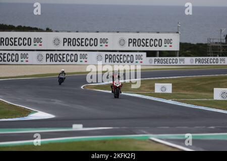 Victoria, Australie. 19th novembre 2022. Bryan à la tête de sa course Ducati V4-R 1000 pour Desmosport Ducati célèbre la course gagnante de l'une des Superbikes australiens lors de la ronde de Grand Ridge australienne 2022 du Championnat du monde de Superbike FIM MOTUL 2022 à Phillip Island, Australie sur 19 novembre 2022 - image Credit: brett keating/Alay Live News Banque D'Images