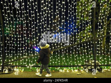 Les gens font le tour des installations de lumière de vacances à Lightscape, un sentier immersif illuminé et sombre qui célèbre la beauté de l'hiver, au jardin botanique de Brooklyn, vendredi, à 18 novembre 2022, à New York. Photo de John Angelillo/UPI Banque D'Images