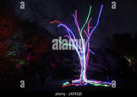 Les gens font le tour des installations de lumière de vacances à Lightscape, un sentier immersif illuminé et sombre qui célèbre la beauté de l'hiver, au jardin botanique de Brooklyn, vendredi, à 18 novembre 2022, à New York. Photo de John Angelillo/UPI Banque D'Images