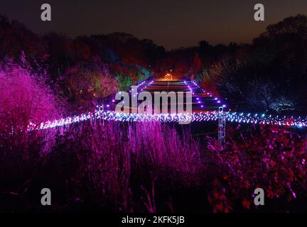 Les gens font le tour des installations de lumière de vacances à Lightscape, un sentier immersif illuminé et sombre qui célèbre la beauté de l'hiver, au jardin botanique de Brooklyn, vendredi, à 18 novembre 2022, à New York. Photo de John Angelillo/UPI Banque D'Images