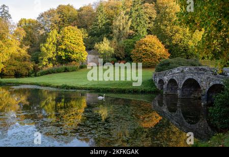 Un cygne nageant vers le pont palladien sur un lac miroir à Stourhead sous le soleil d'automne Banque D'Images