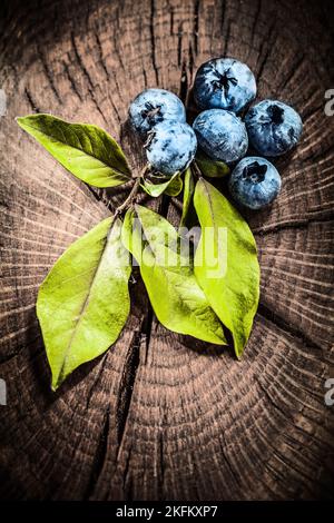 Feuilles vertes de myrtilles sur panneau de grunge vintage. Banque D'Images