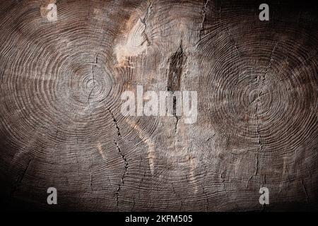 vue générale coupe transversale d'un tronc d'arbre double texture bois vintage Banque D'Images