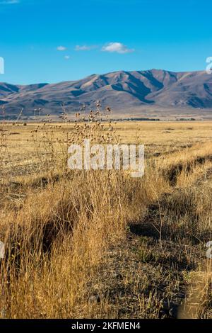 Sol sec de la plaine pendant la sécheresse estivale. Vastes champs après récolte en été. Plaine d'Erzurum, Turquie. Banque D'Images