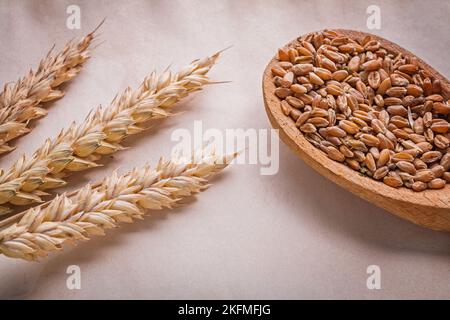 trois épis de blé et une cuillère en bois avec cornes sur papier vintage food and drink concept Banque D'Images