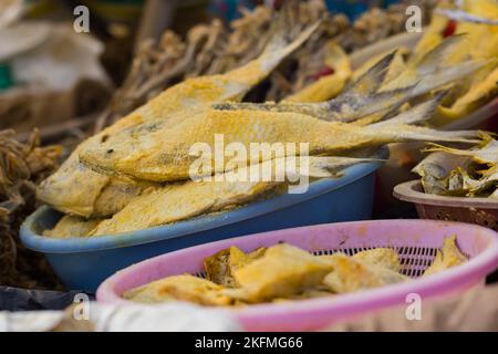 le poisson à la hilsa séché et salé est vendu sur les marchés du poisson du bangladesh. Banque D'Images