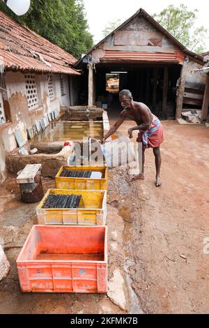 Production de carreaux Athangudi à Attangudi, Tamil Nadu, Inde . Banque D'Images