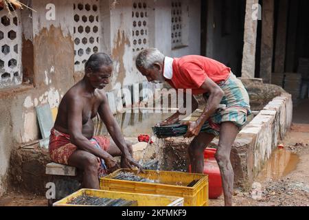 Homme lavant le carrelage Athangudi à Attangudi, Tamil Nadu, Inde Banque D'Images