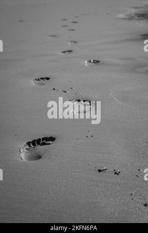 Pas de sable, noir et blanc. Empreintes sur la plage, monochromes. Concept de marche. Des marches humaines sur le bord de mer. Marche pieds nus sur la côte. Banque D'Images