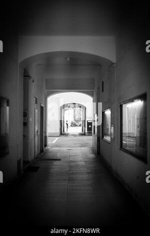 Un cliché vertical en échelle de gris d'un couloir vide d'un bâtiment avec des fenêtres en verre sur les murs Banque D'Images