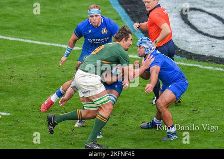 Genova, Italie. 19th novembre 2022. Phases du jeu pendant l'Italie contre l'Afrique du Sud, automne Nations série rugby match à Genova, Italie, 19 novembre 2022 crédit: Agence de photo indépendante/Alamy Live News Banque D'Images