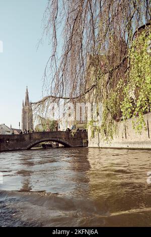 Le pont de Nepomuceno traversant un canal, visible à travers des branches d'arbres avec une tour en arrière-plan Banque D'Images