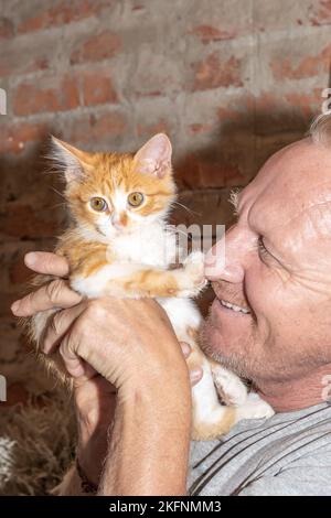 un homme mature tient un chaton dans ses bras et sourit. Communication avec les animaux. Banque D'Images