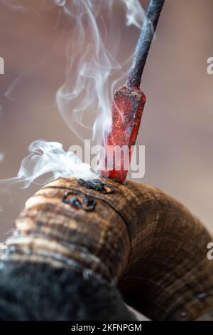 HornBurning Scottish Blackface béms avant une vente. Écosse, Royaume-Uni. Banque D'Images