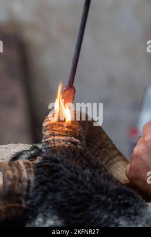 HornBurning Scottish Blackface béms avant une vente. Écosse, Royaume-Uni. Banque D'Images