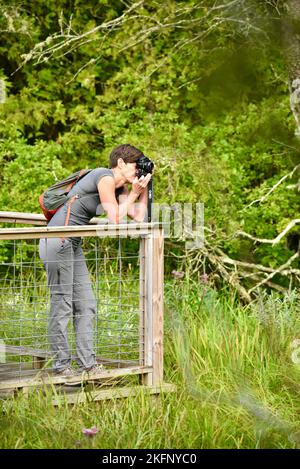 Une femme d'âge moyen sur la promenade qui prend une photo avec un appareil photo numérique de la nature au sanctuaire de Ridges, dans le comté de Door, dans le port de Baileys, Wisconsin, États-Unis Banque D'Images