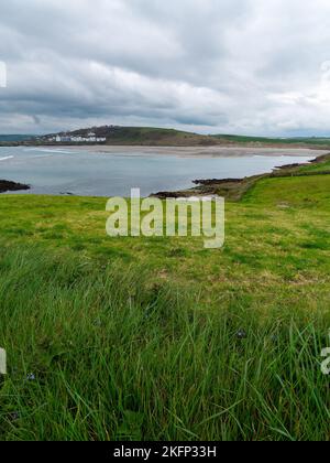 Vue sur la baie de Clonakilty par jour nuageux. Herbe épaisse près de la mer. Le littoral du sud de l'Irlande. Banque D'Images