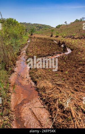 Agriculture durable dans un dambo (zone humide) au fond d'un bassin versant dans le district de la baie de Nkhata, au Malawi Banque D'Images