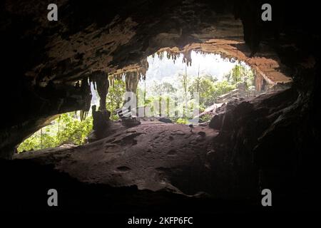 Entrée de la grotte de Niah à Bornéo, Malaisie Banque D'Images