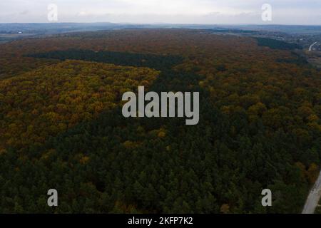 Photo de la forêt prise par un drone, un beau paysage d'automne de forêt à feuilles caduques dans la région de Ternopil en Ukraine. Nouveau Banque D'Images