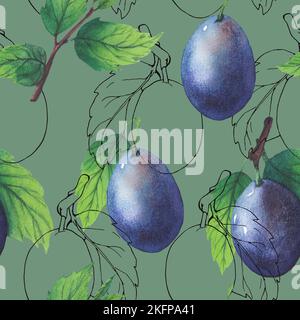 Prune aquarelle dessinée à la main et feuilles isolées sur fond blanc. Répétition Banque D'Images