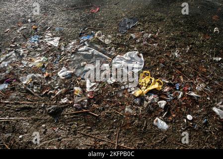 Litière en plastique et autres déchets flottant dans l'eau, lavé à Sortedams SO, Copenhague, Danemark. Pollution de l'eau. Déchets de plastique flottant dans l'eau. Banque D'Images