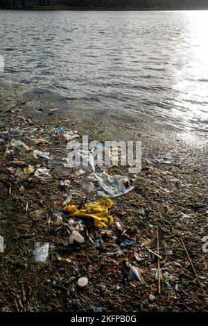 Litière en plastique et autres déchets flottant dans l'eau, lavé à Sortedams SO, Copenhague, Danemark. Pollution de l'eau. Déchets de plastique flottant dans l'eau. Banque D'Images