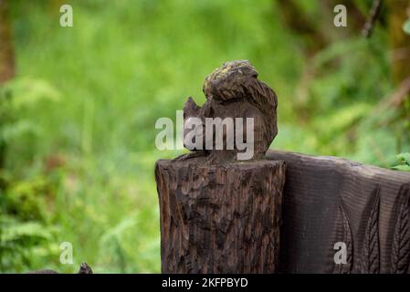 Sculpture en bois d'un écureuil rouge sur un banc en bois au RSPB Loch Lomond, en Écosse. Banque D'Images