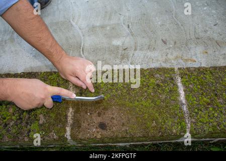 Image des mains d'un homme de main utilisant une brosse en acier pour enlever la moisissure et l'humidité des briques. Bricolage Banque D'Images