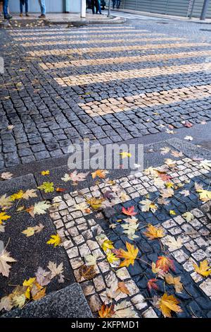 Des feuilles d'automne colorées sont tombées sur le plancher de la rue lors d'un jour pluvieux au Portugal Banque D'Images