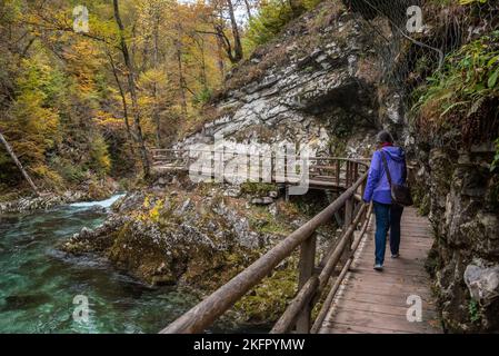 Pittoresque rivière sauvage qui traverse la gorge de Vintgar, en Slovénie Banque D'Images