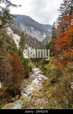 Randonnée dans la vallée de Vrata en automne, parc national de Triglav dans les Alpes juliennes, Slovénie Banque D'Images