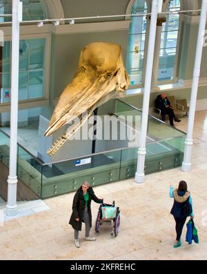 Musée national d'Écosse, Chambers St, Édimbourg EH1 1JF Banque D'Images