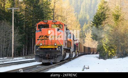 Scenic, WA, USA - 18 novembre 2022; BNSF train de charbon vide vers l'est dans les montagnes Cascade de l'État de Washington avec neige d'automne Banque D'Images