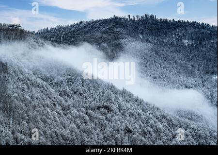 paysage de montagne d'hiver. Déneigeuses sur le flanc de montagne couvert de neige en hiver, sapins sur le sommet de la colline et ciel bleu. Beau paysage d'hiver avec neige co Banque D'Images