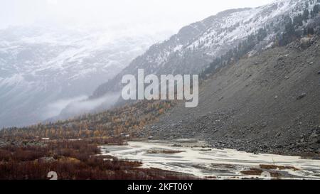 Forêt de mélèze d'automne à Val Morteratsch, glacier de Morteratsch, Engadine, Grisons, Suisse, Europe Banque D'Images